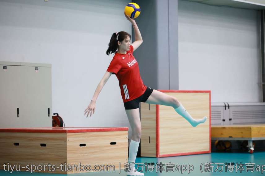 新万博体育app（新万博体育app如何满足不同用户的需求）
